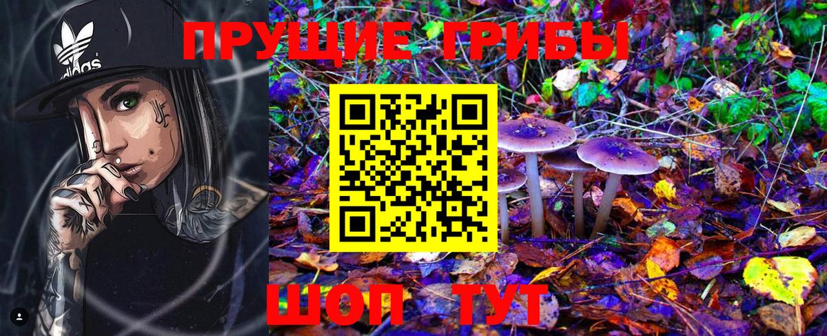 Калач-на-Дону  Псилоцибиновые грибы Psilocybine cubensis  Вход с VPN 
